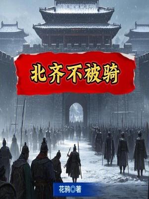 北齐不被骑书包网
